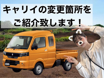 キャリイの変更前と変更後を比較してみました！